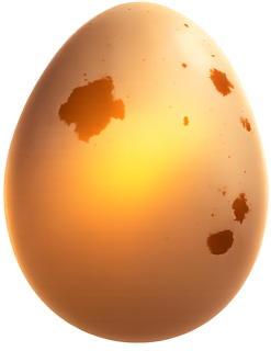 Egg